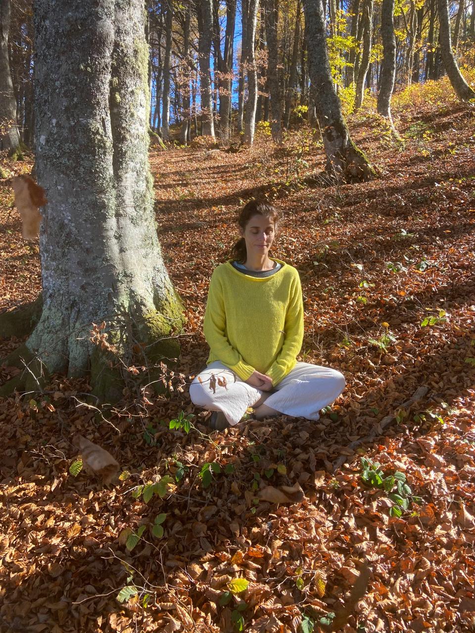 Meditação sentada no bosque de outono